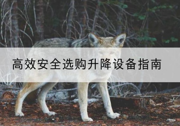 施秉升降货梯厂家推荐-*安全选购升降设备指南