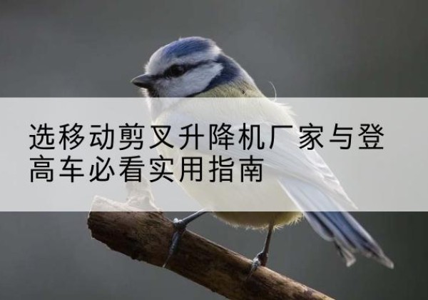 施秉电动升降机厂家-选移动剪叉升降机厂家与登高车必看实用指南