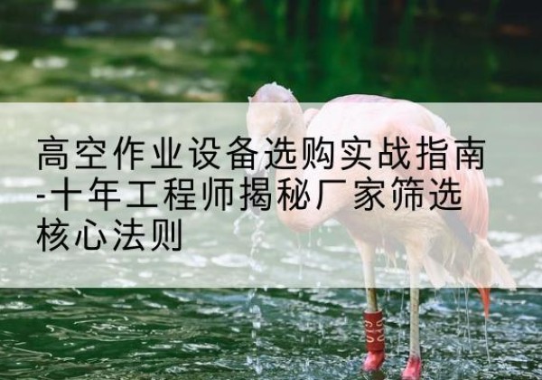 施秉剪叉式升降机厂家-高空作业设备选购实战指南-十年工程师揭秘厂家筛选核心法则